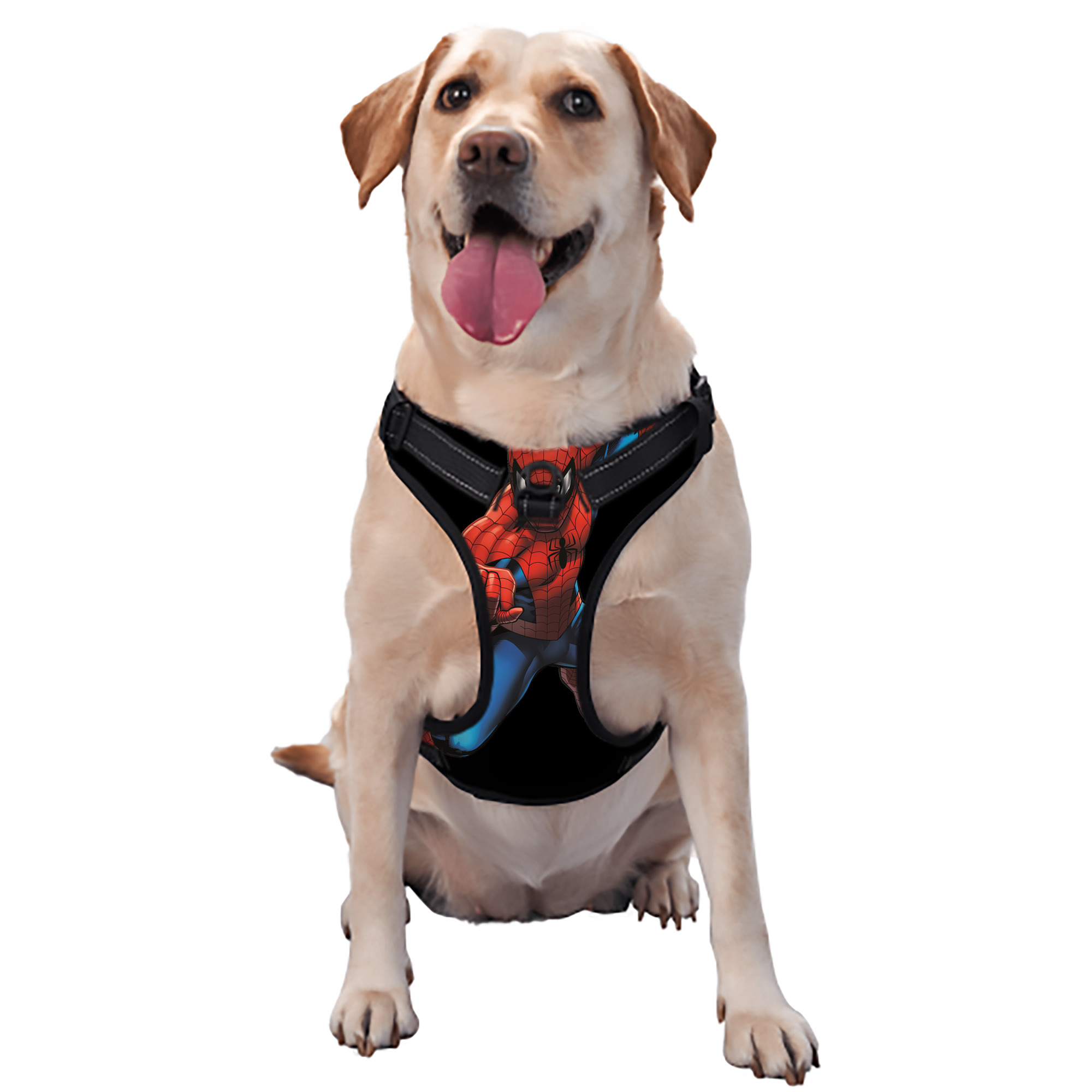 （画像用） Spider Man スパイダーマン ペット用ハーネス